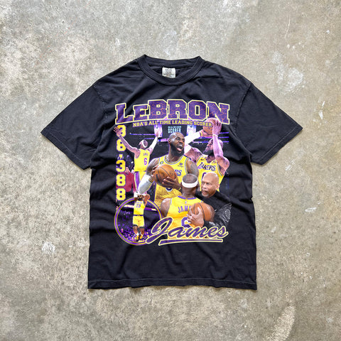 LeBron James v3